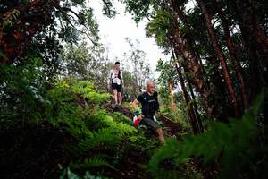 BIB: 
                            <button type="button" onclick="openModal(26204065)" class="btn btn-primary btn-sm float-right btn-popup" data-toggle="modal" data-target=".modal-high-quality">
                        <i class="fas fa-shopping-cart"></i> Add to Cart
                    </button>
                                            <button type="button" onclick="isThisMe(26204065, true)" class="btn btn-success btn-sm float-right btn-popup btn-isme hidden" data-toggle="tooltip" data-placement="bottom" title="นี่คือรูปของคุณใช่ไหม คลิกที่นี่เพื่อเอาเข้าอัลบั้ม">
                        <i class="fas fa-plus"></i> Add to album
                    </button>
                    <button type="button" onclick="isThisMe(26204065, false)" class="btn btn-warning btn-sm float-right btn-popup btn-isnotme hidden">
                        <i class="fas fa-ban"></i> Remove from album
                    </button>